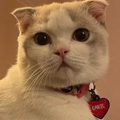 Kırmızı Hologram Kalp | İsimlik