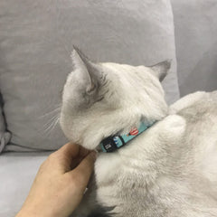 Balloon | Cat Collar