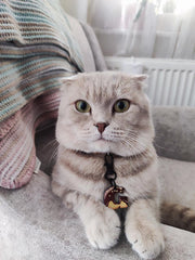 Gofret Harf Künyeler | Kedi Köpek İsimlik