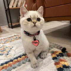 Pinky | Cat Collar