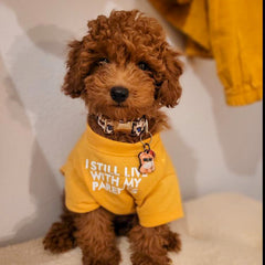 Gangsta Ayıcık | İsimlik