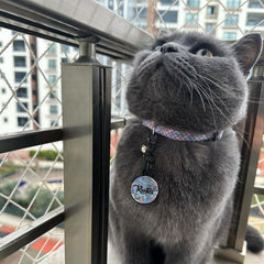 Flake | Cat Collar