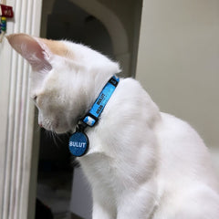 Cloud | Kedi Tasması