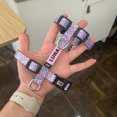 Flake | Köpek Göğüs Tasması