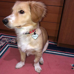 Lumi Kalp Fosforlu | İsimlik