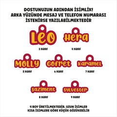 Aslan | Name Shaped ID Tag