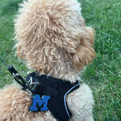 Mavi Glitter Harf Künyeler | Tüm Harfler