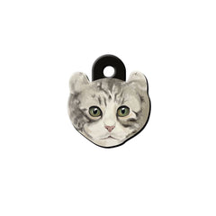 American Curl Cinsi | Kedi İsimlik Kedi Cinsleri TagsForever