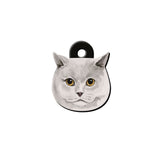 British Shorthair Kedi Cinsleri TagsForever