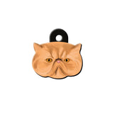 İran Kedisi Kedi Cinsleri TagsForever