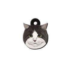 Cymric Kedi Cinsleri TagsForever