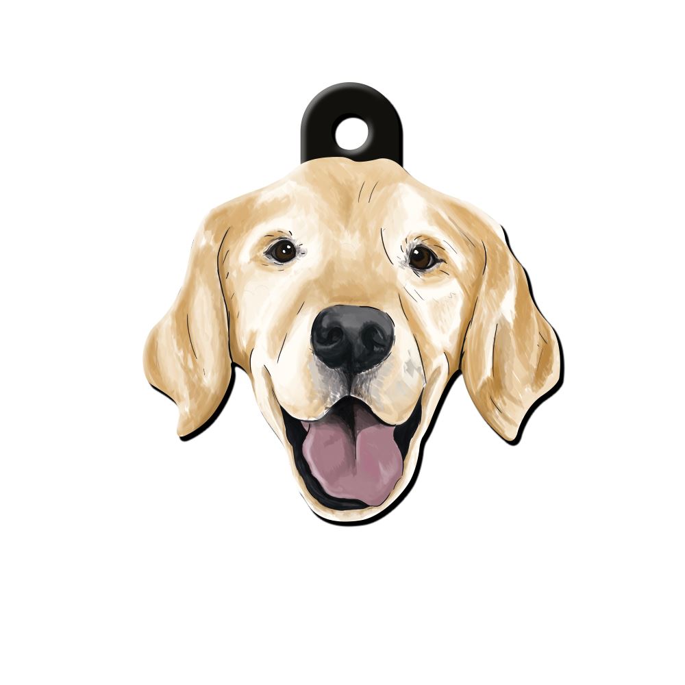 Golden Retriever Köpek Cinsleri TagsForever