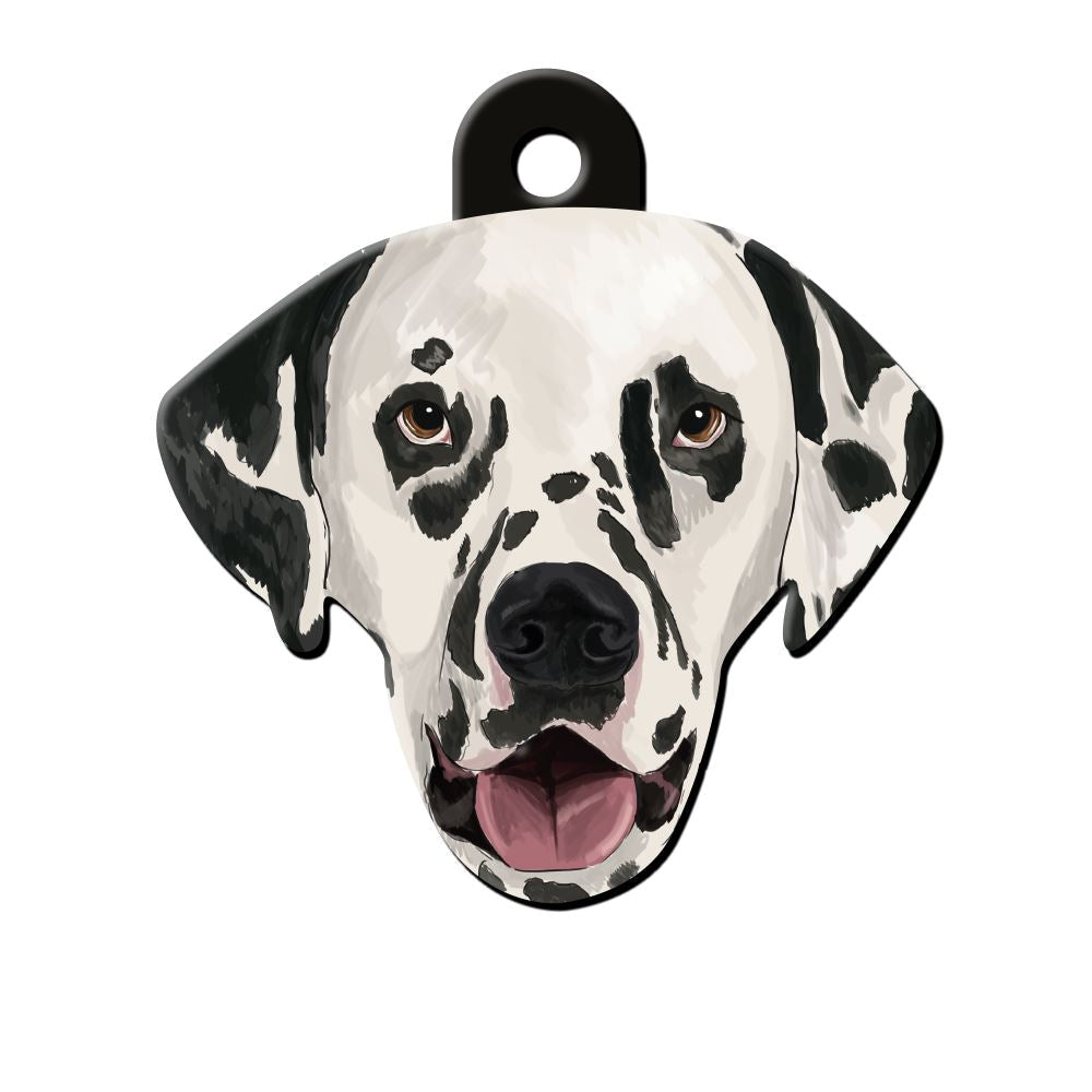 Dalmaçyalı Köpek Cinsleri TagsForever