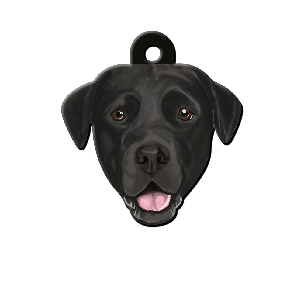 Labrador Köpek Cinsleri TagsForever