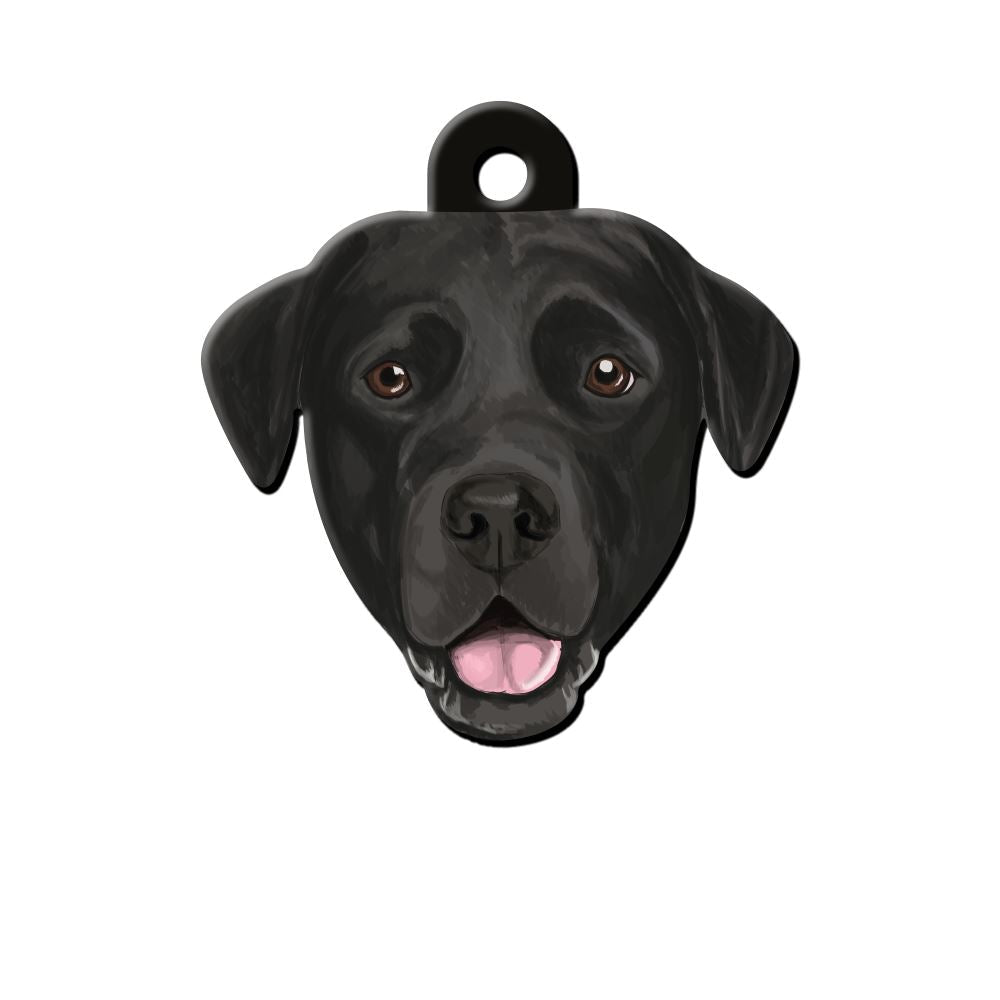 Labrador Köpek Cinsleri TagsForever