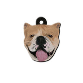 English Bull Köpek Cinsleri TagsForever