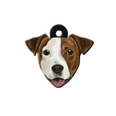 Jack Russell Köpek Cinsleri TagsForever