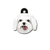 Maltese Terrier Köpek Cinsleri TagsForever