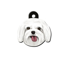 Maltese Terrier Köpek Cinsleri TagsForever