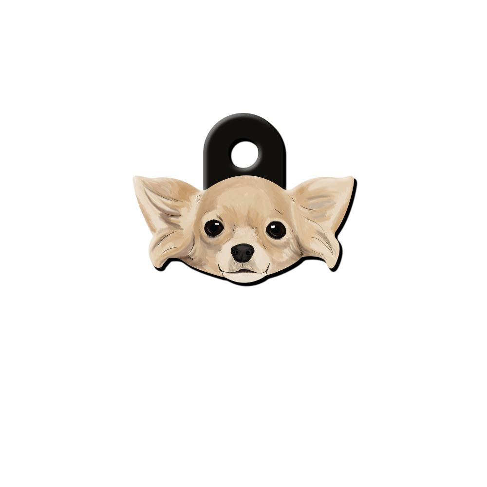 Chihuahua Köpek Cinsleri TagsForever