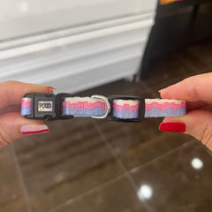 Gelato | Köpek Tasması