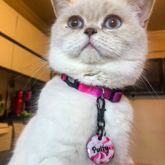 Fuschia | Cat Collar