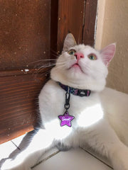 Aurora | Cat Collar