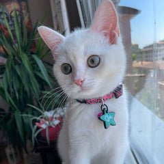 Pinky | Cat Collar