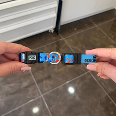 Molly | Köpek Tasması