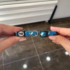 Coconut | Kedi Tasması