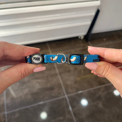 Coconut | Cat Collar