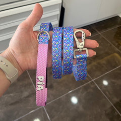 Glee | Gezdirme Kayışı