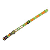 Carrot | Eller Serbest Tasma