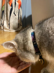 Aurora | Cat Collar