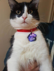 Mor Uzay Desenli Pati