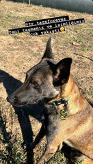 Klasik Askeri Kamuflaj Asker