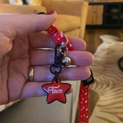 Twinkle | Cat Collar