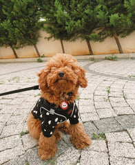 Karpuz Çekirdeği Desenli Yuvarlak