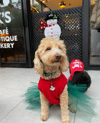Kardan Adam | Yeni Yıl Serisi
