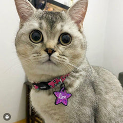 Pinky | Cat Collar