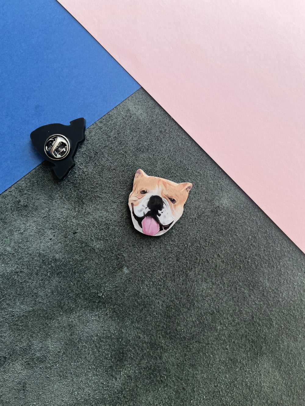 English Bull | Yaka Rozeti - Evcil hayvanlar için mükemmel bir ürün.