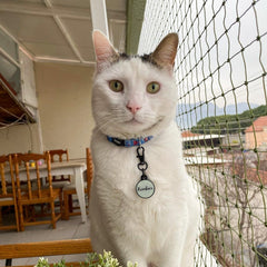 Eeyore | Kedi Tasması