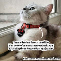 Ice | Cat Collar