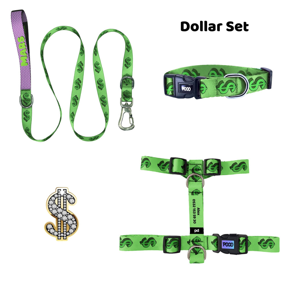 Dollar | Tasma ve Künye Seti - Evcil hayvanlar için mükemmel bir ürün.