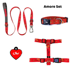 Amore | Tasma ve Künye Seti - Evcil hayvanlar için mükemmel bir ürün.