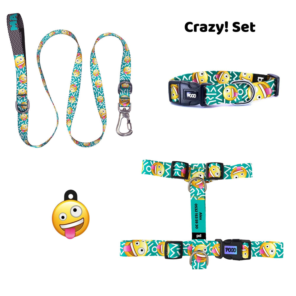 Crazy! | Tasma ve Künye Seti - Evcil hayvanlar için mükemmel bir ürün.
