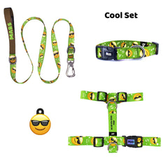 Cool | Tasma ve Künye Seti - Evcil hayvanlar için mükemmel bir ürün.