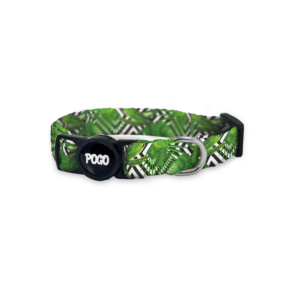 Flexi | Kedi Tasması - Evcil hayvanlar için mükemmel bir ürün.