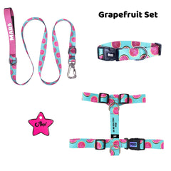 Grapefruit | Tasma ve Künye Seti - Evcil hayvanlar için mükemmel bir ürün.