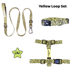 Yellow Loop | Tasma ve Künye Seti - Evcil hayvanlar için mükemmel bir ürün.